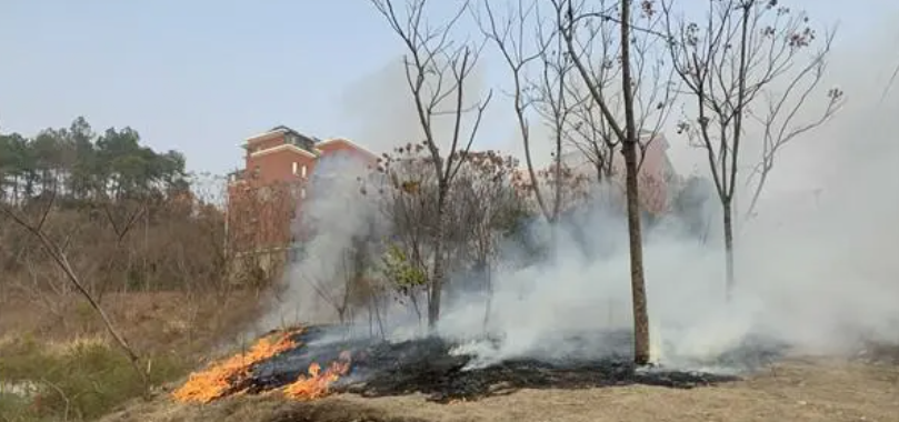 90723 1·10湖南省岳麓区茶子山路山体公园发生火灾，暂无人员伤亡